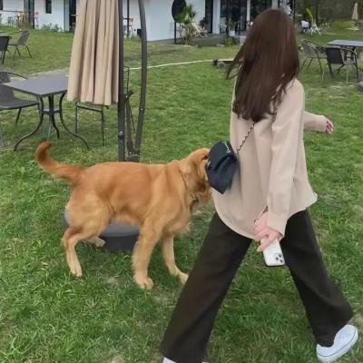 绝地异种